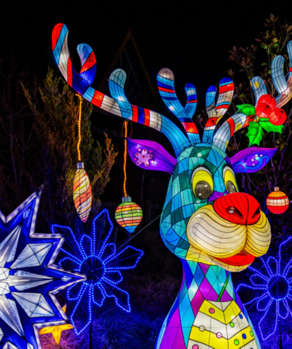 El Asian Lantern Festival volvió para deslumbrar el Central Florida Zoo