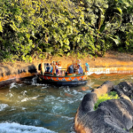 Kali River Rapids cerrará para su mantenimiento anual en enero de 2025