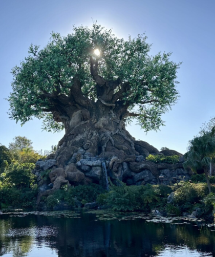 Tree of Life Awakenings estrenó su nuevo show de Mufasa