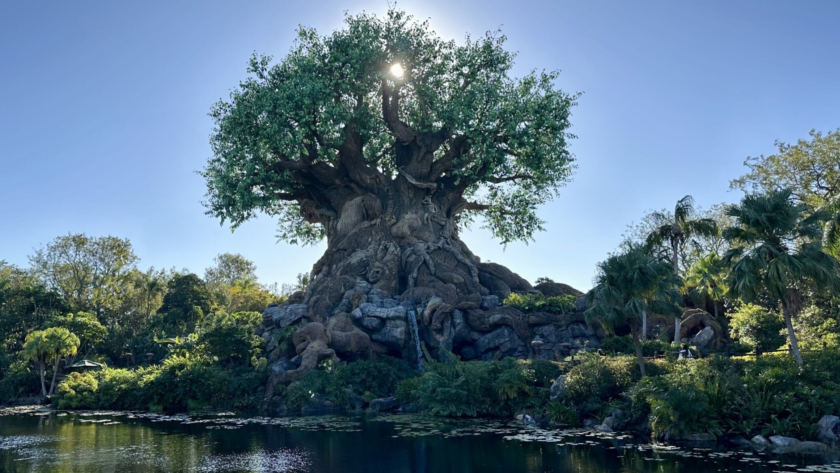 Tree of Life Awakenings estrenó su nuevo show de Mufasa