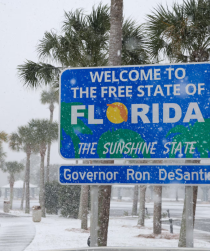 Tormenta invernal dejó históricas caídas de nieve en Florida