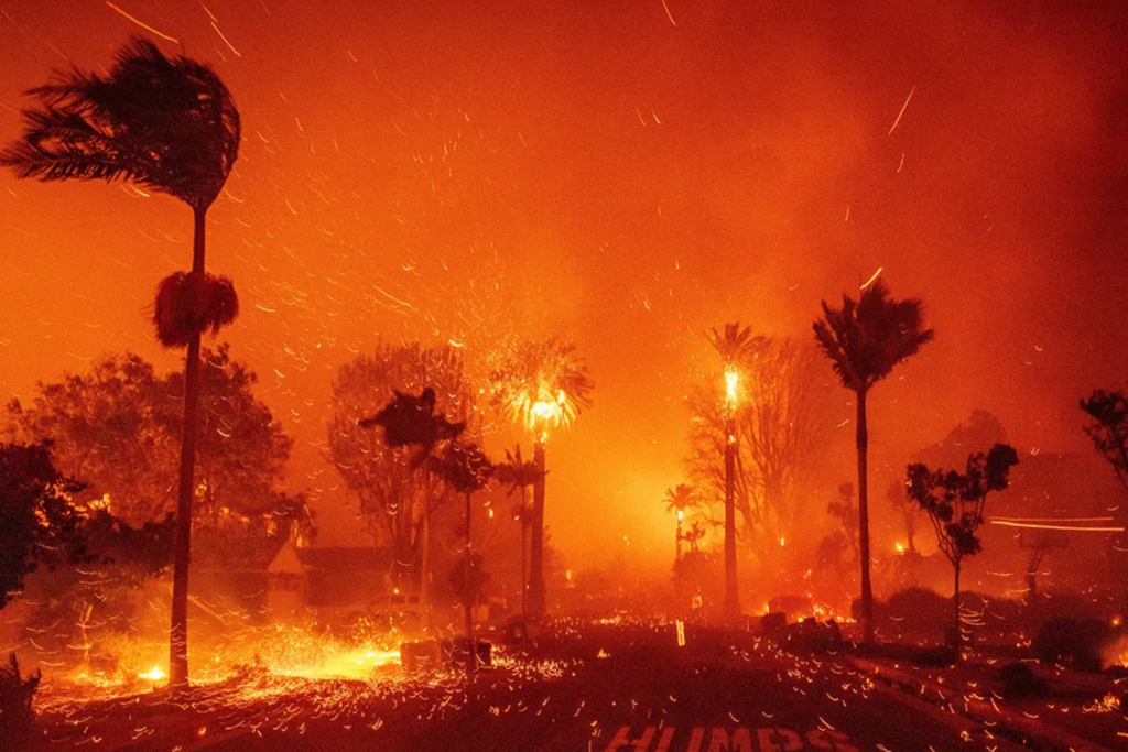 Cinco muertos y miles de hectáreas destruidas por los incendios en Los ...