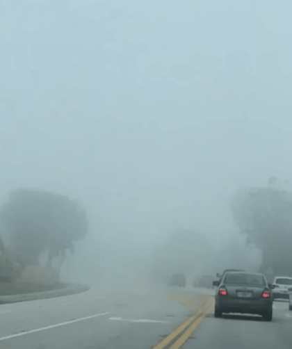 La niebla estará sobre Florida Central durante la semana