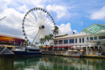 Cinco malls de Florida están entre los mejores de Estados Unidos