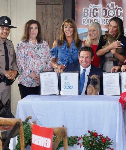La Ley Trooper contra el abandono de animales entrará en vigor en octubre