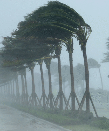 La NOAA espera una temporada de huracanes sobre el promedio