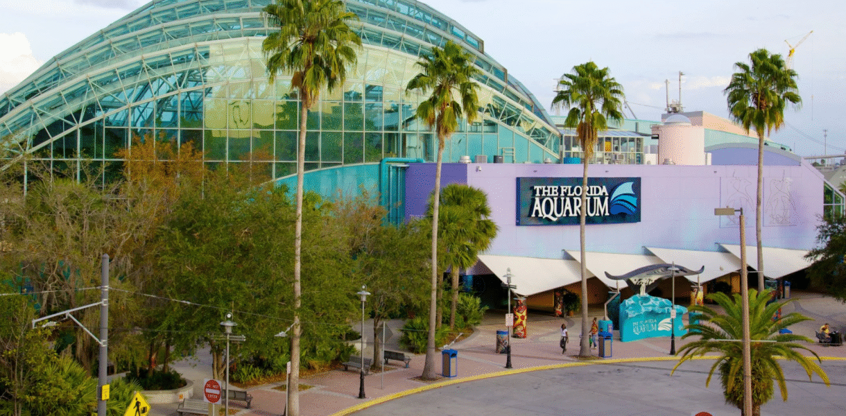 The Florida Aquarium entre los mejores de Estados Unidos por quinto año en fila