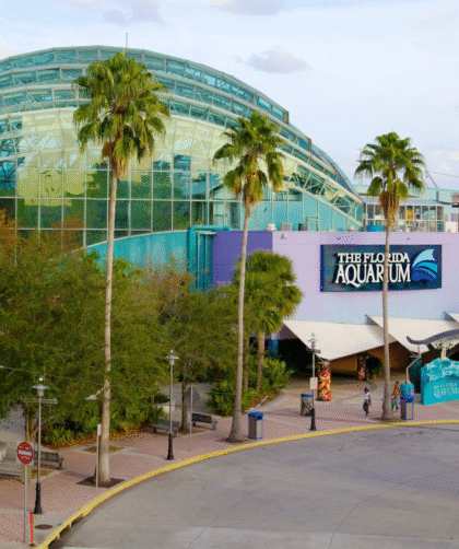 The Florida Aquarium entre los mejores de Estados Unidos por quinto año en fila