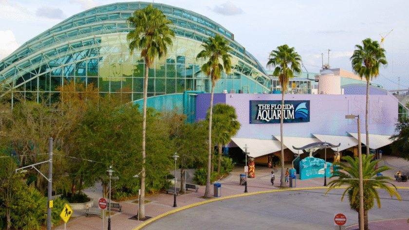 The Florida Aquarium entre los mejores de Estados Unidos por quinto año en fila